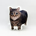 Weird Abstract Cat Plush Pillow, Funny Ugly-Cute Meme Stuffed Doll, Soft Short Plush Irregular Decor Toy